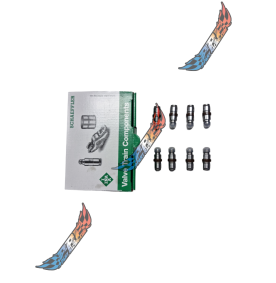 2L 2.0 HDI INA Kit Poussoir