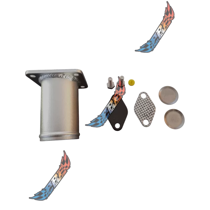 BMW KIT SUPPRESSION EGR DELETE