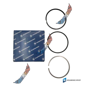 1.9 TDI PD Segment Piston...