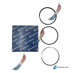 1.9 TDI PD SEGMENT PISTON KS KOLBENSCHMIDT