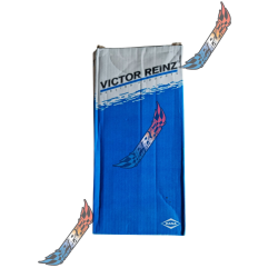 1.9 2.0 TDI PD 12.9 ARL 150 CULASSE VIS VICTOR REINZ