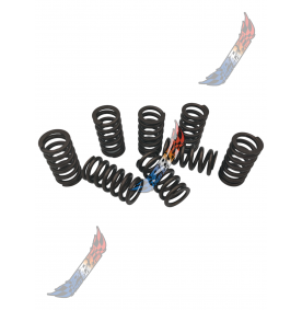 2L 2.0 HDI Ressorts...