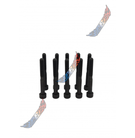 2L 2.0 TDI PD Vis AAC Arbre...