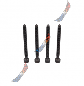 1.9 2.0 TDI Vis Injecteur