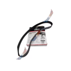 Courroi Distribution 1.9 1,9 1l9 TDI PD IP GATES