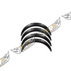 EXTENSION AILE COULEUR CARBONE