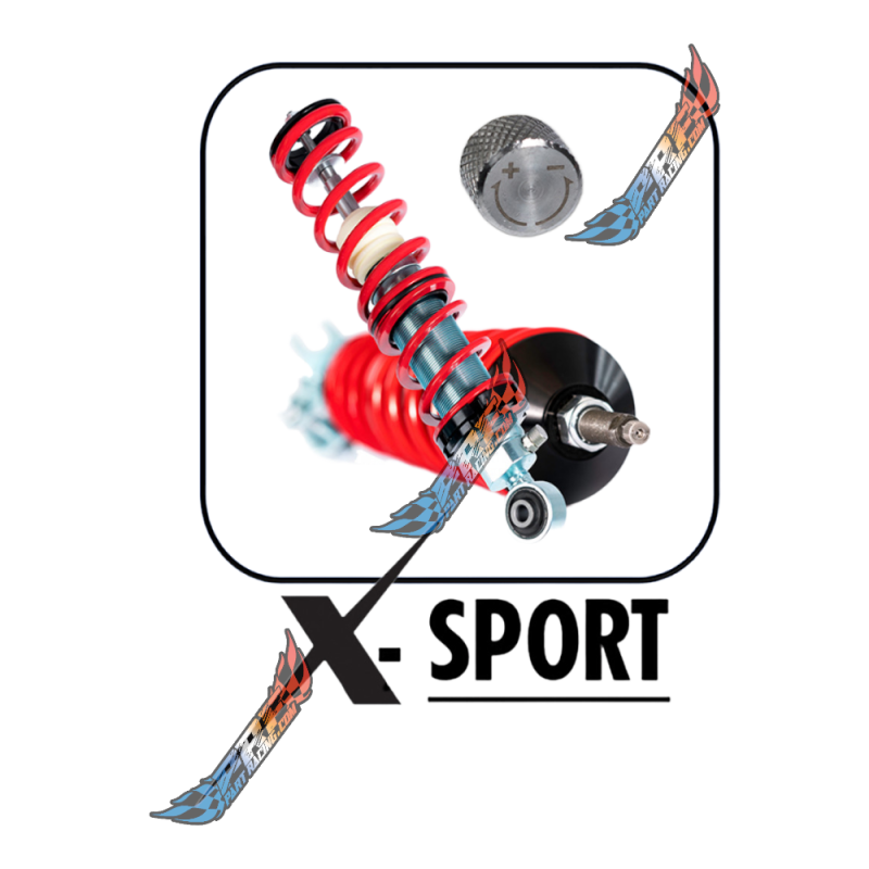 IBIZA FABIA POLO VAG VMAXX Combinés Filetés Street / Sport