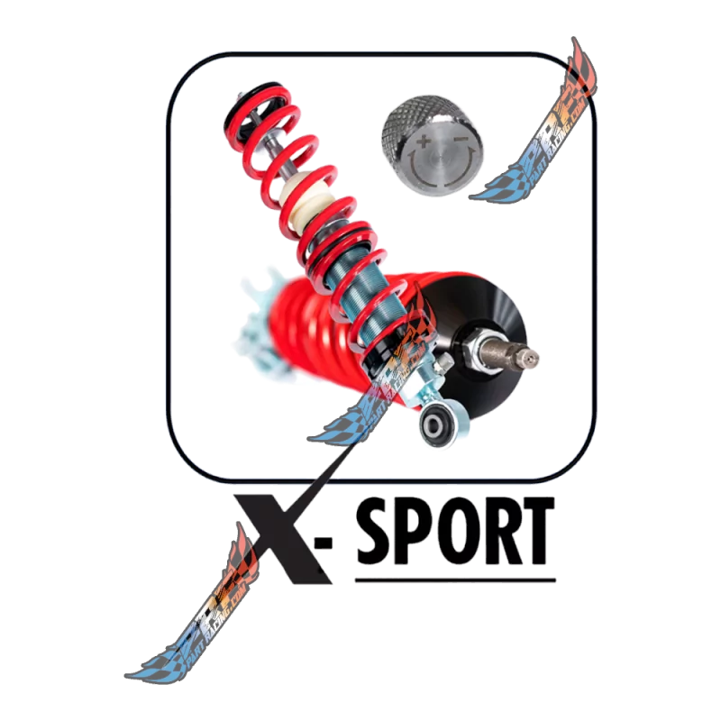 IBIZA FABIA POLO VAG VMAXX Combinés Filetés Street / Sport