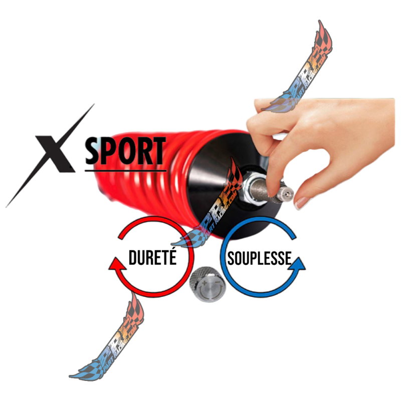 IBIZA FABIA POLO VAG VMAXX Combinés Filetés Street / Sport