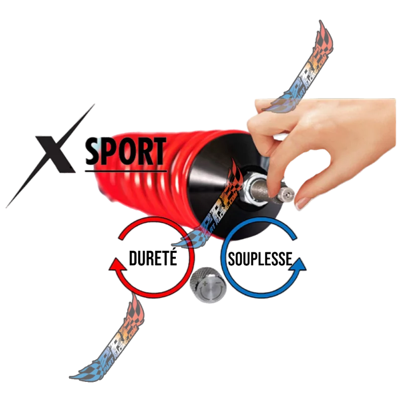 IBIZA FABIA POLO VAG VMAXX Combinés Filetés Street / Sport