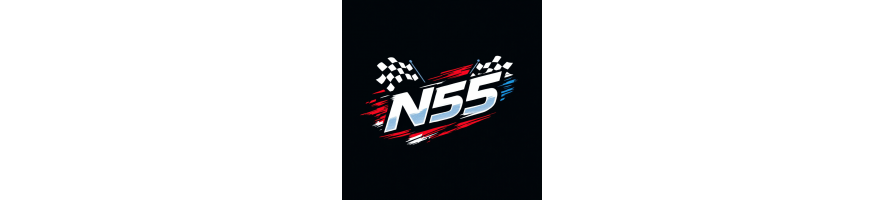 N55