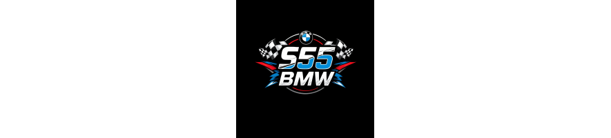 S55